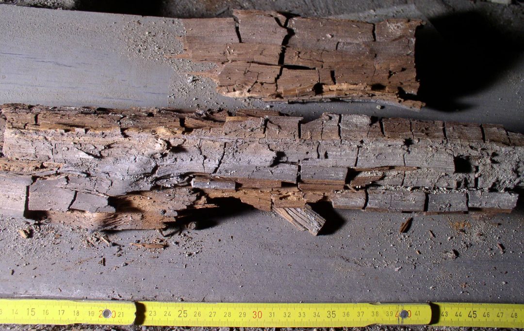 Structural Dry Rot and Water Rot - I Construction & Structural Inc