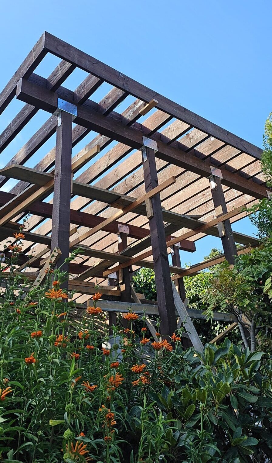 Structural framing for a residential parking deck built on a sloped Marin County property.